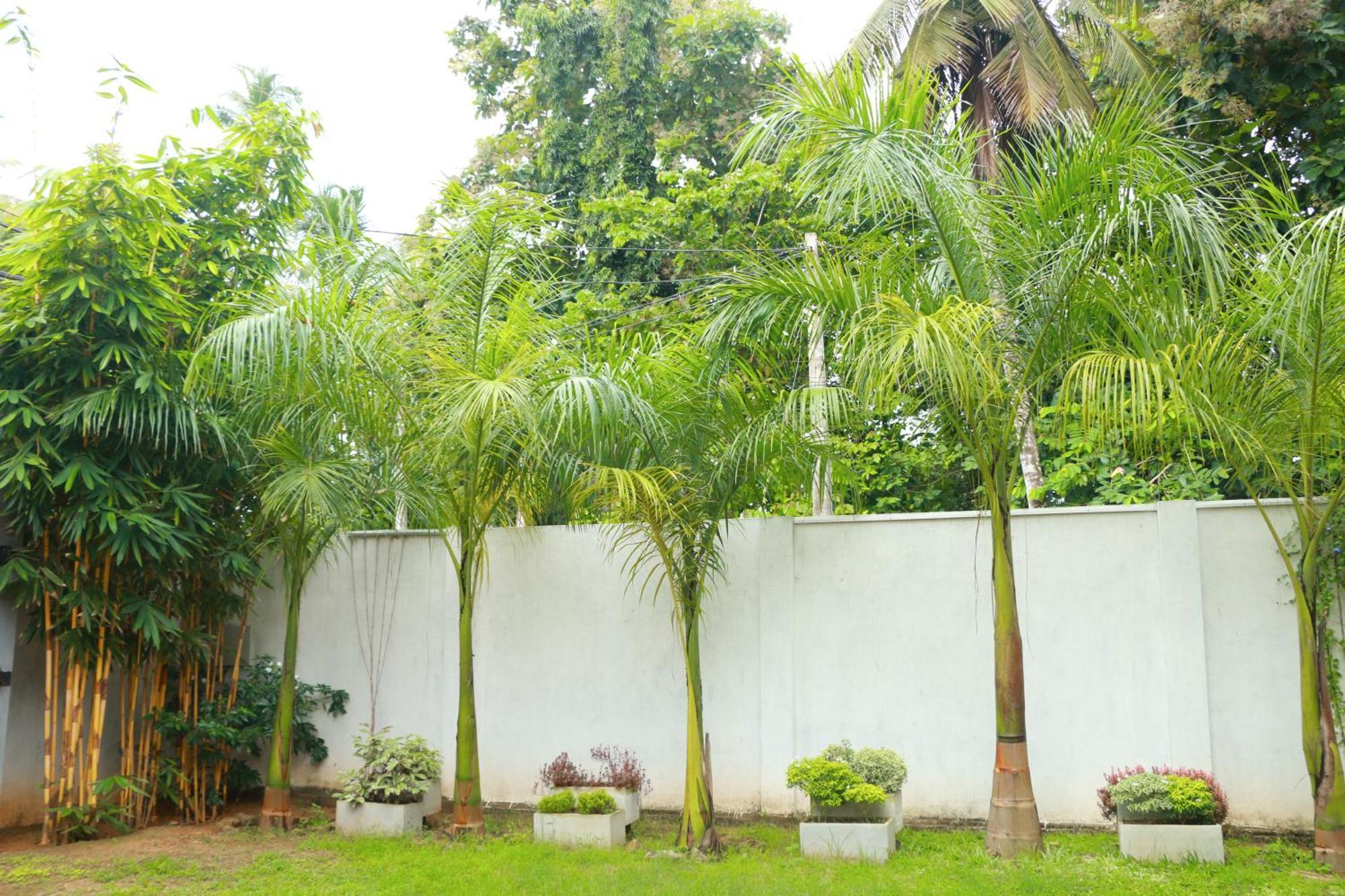 Venus Heaven Luxurious Villa Tangalle Exteriör bild
