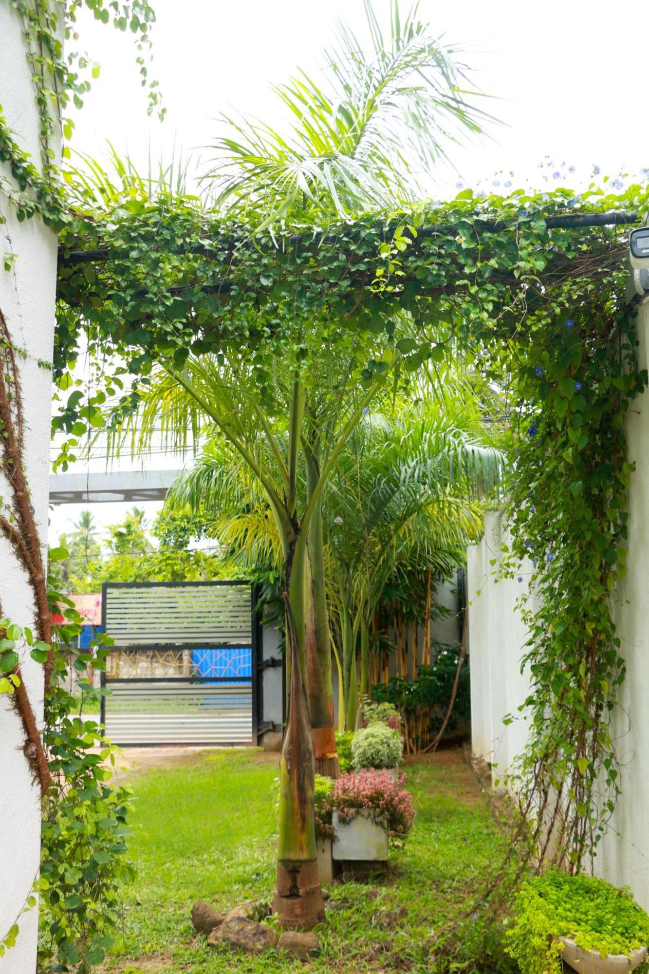 Venus Heaven Luxurious Villa Tangalle Exteriör bild